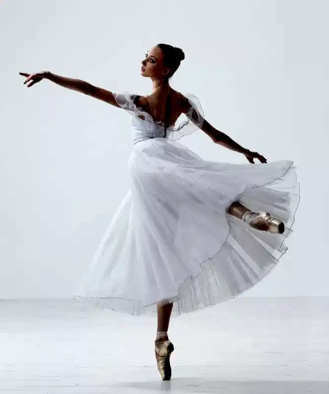 Bale Akademi Iletisim 29