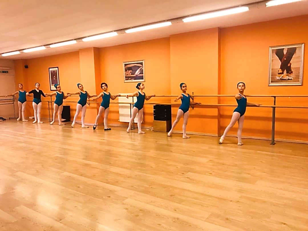 Bale Kurslari Erenkoy 2 2