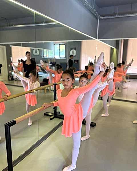 Ankara Cankaya Bale Akademi